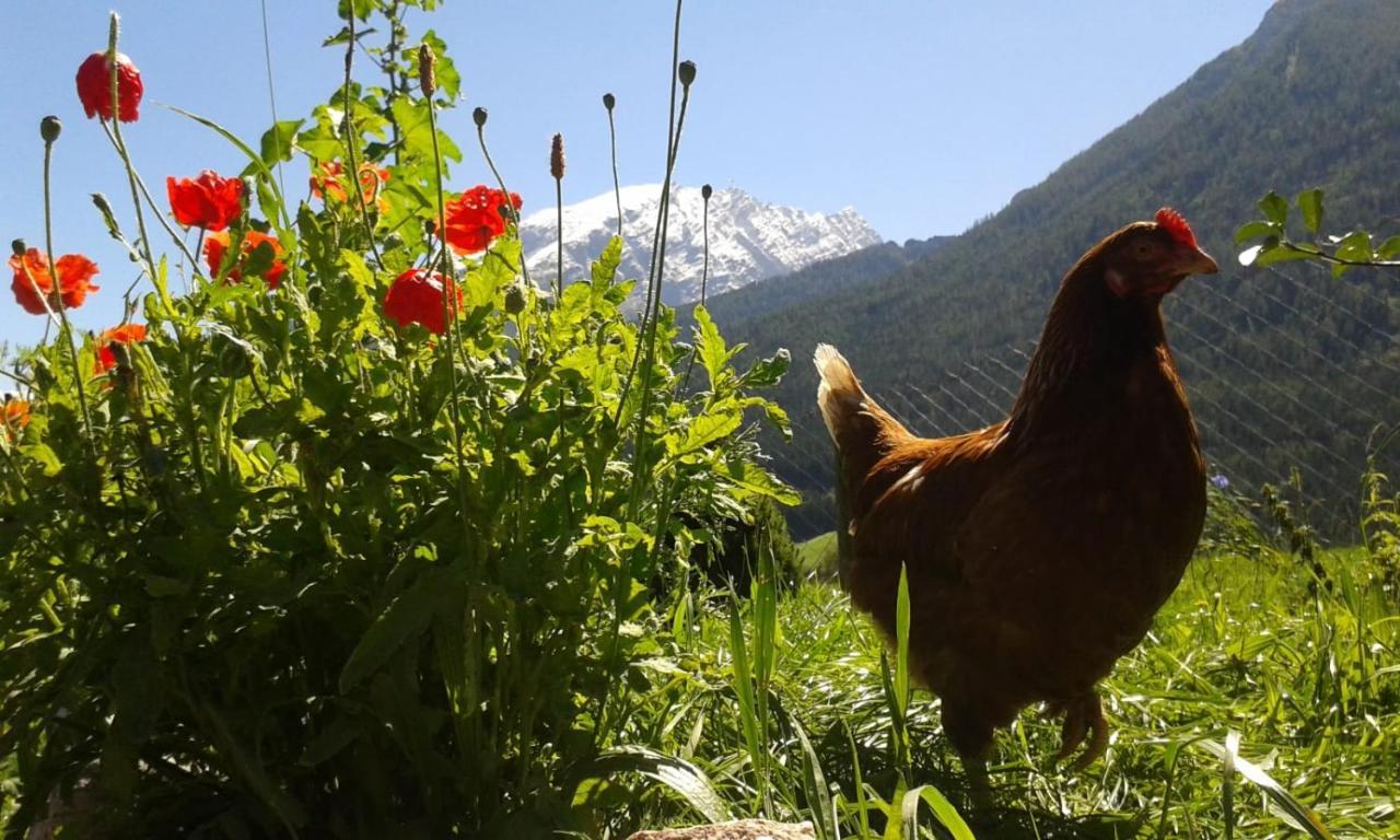 Vorderponholz Ferienwohnungen Ramsau bei Berchtesgaden Exterior foto
