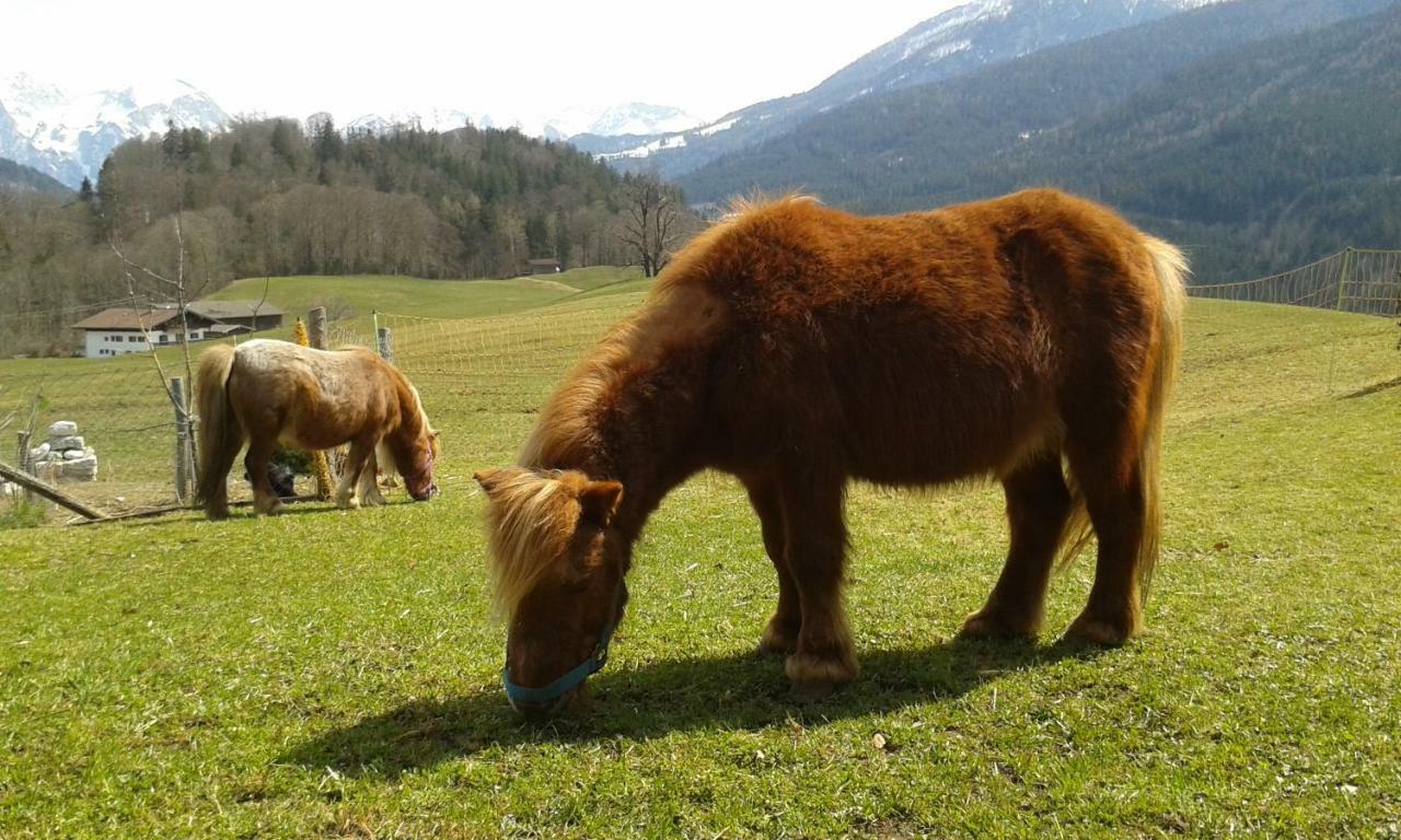 Vorderponholz Ferienwohnungen Ramsau bei Berchtesgaden Exterior foto